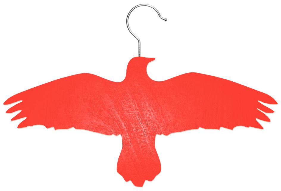 Raven - Coat hanger with a hook