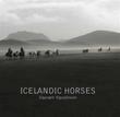 Icelandic Horses photographs